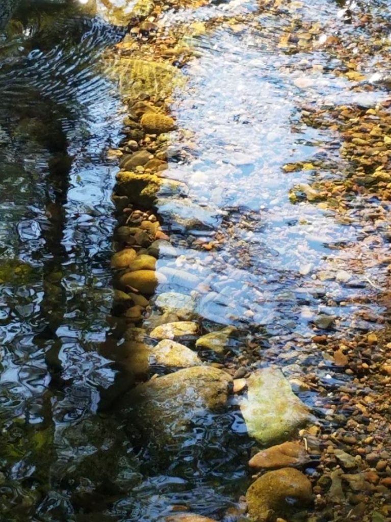 River photo of path in the rocks